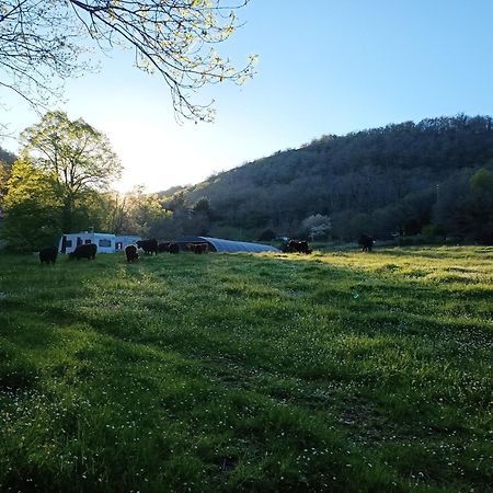 Ferme Les Therondels Saint-Pons-de-Thomieres Eksteriør bilde