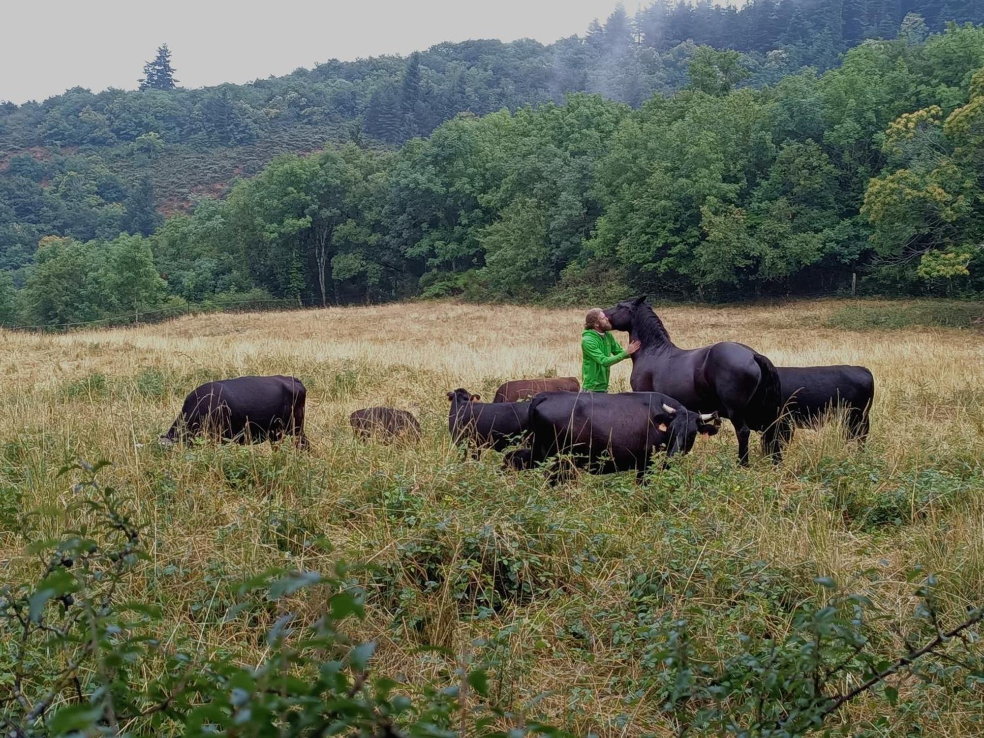 Ferme Les Therondels Saint-Pons-de-Thomieres Eksteriør bilde