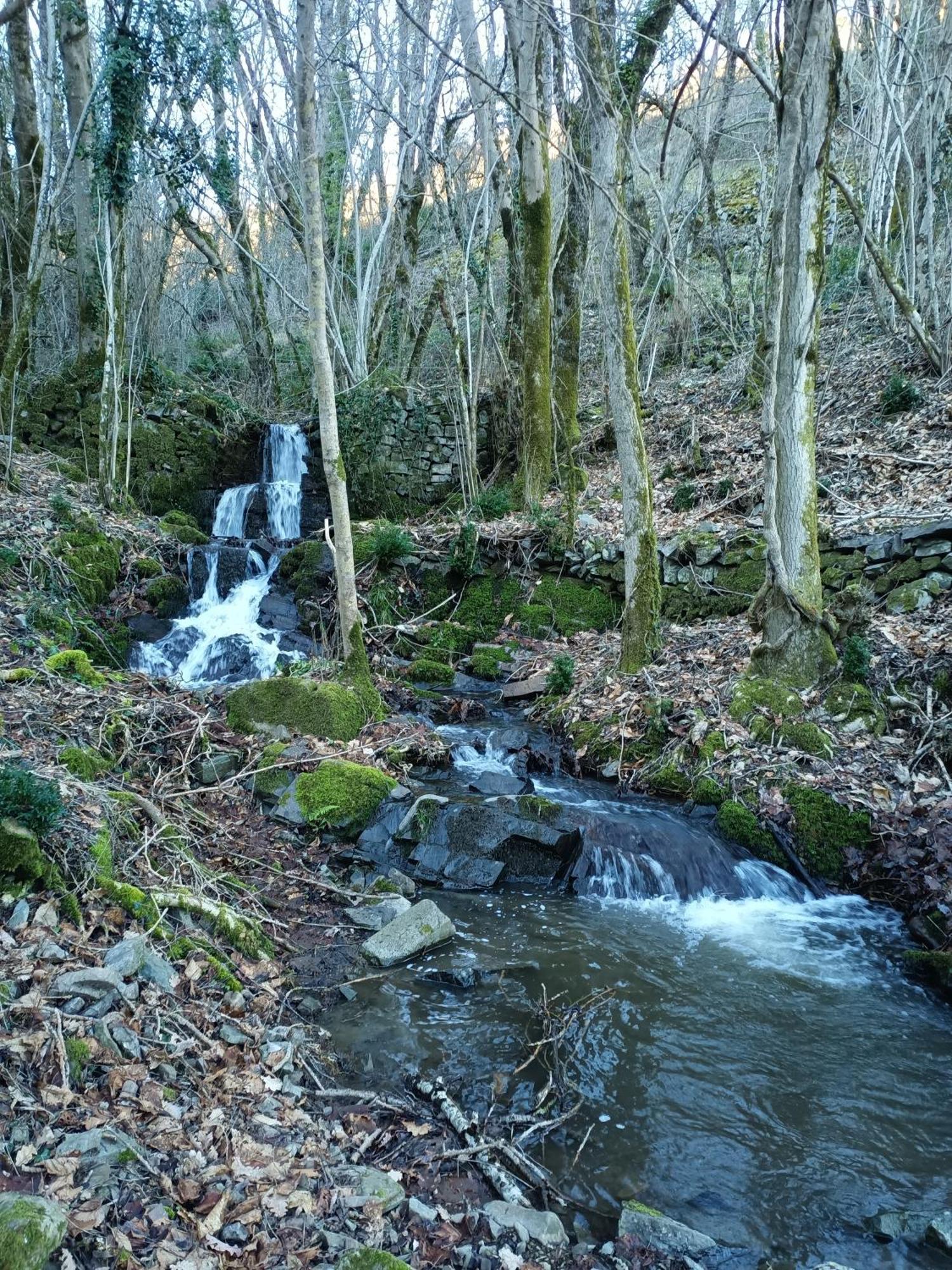 Ferme Les Therondels Saint-Pons-de-Thomieres Eksteriør bilde