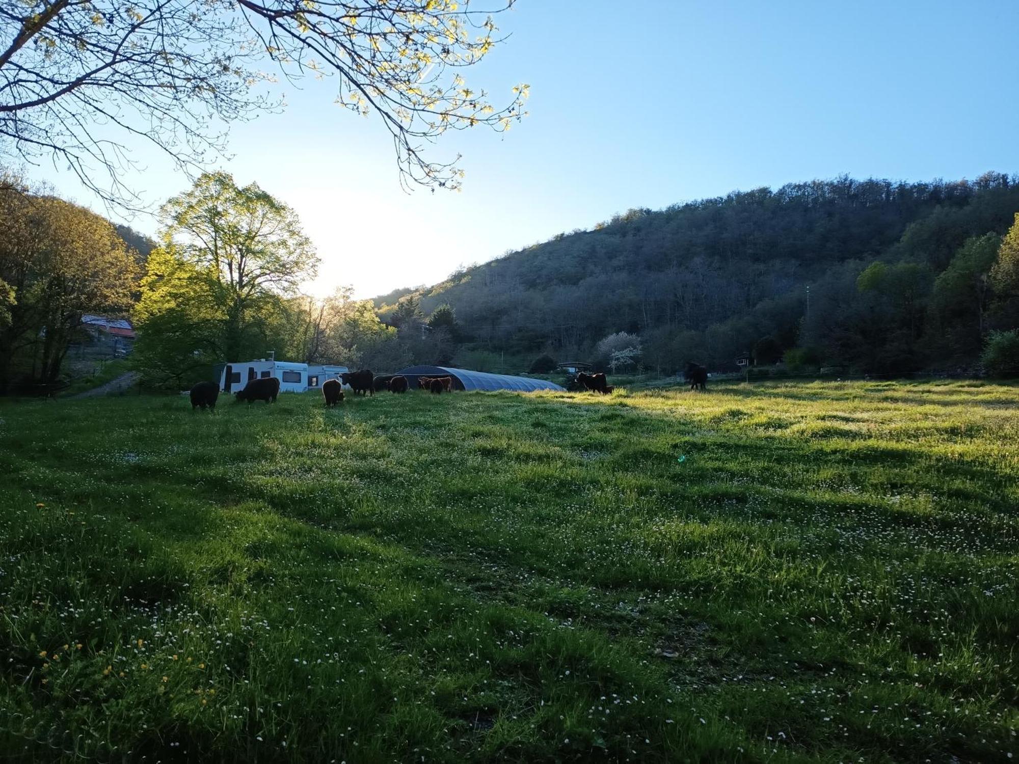 Ferme Les Therondels Saint-Pons-de-Thomieres Eksteriør bilde